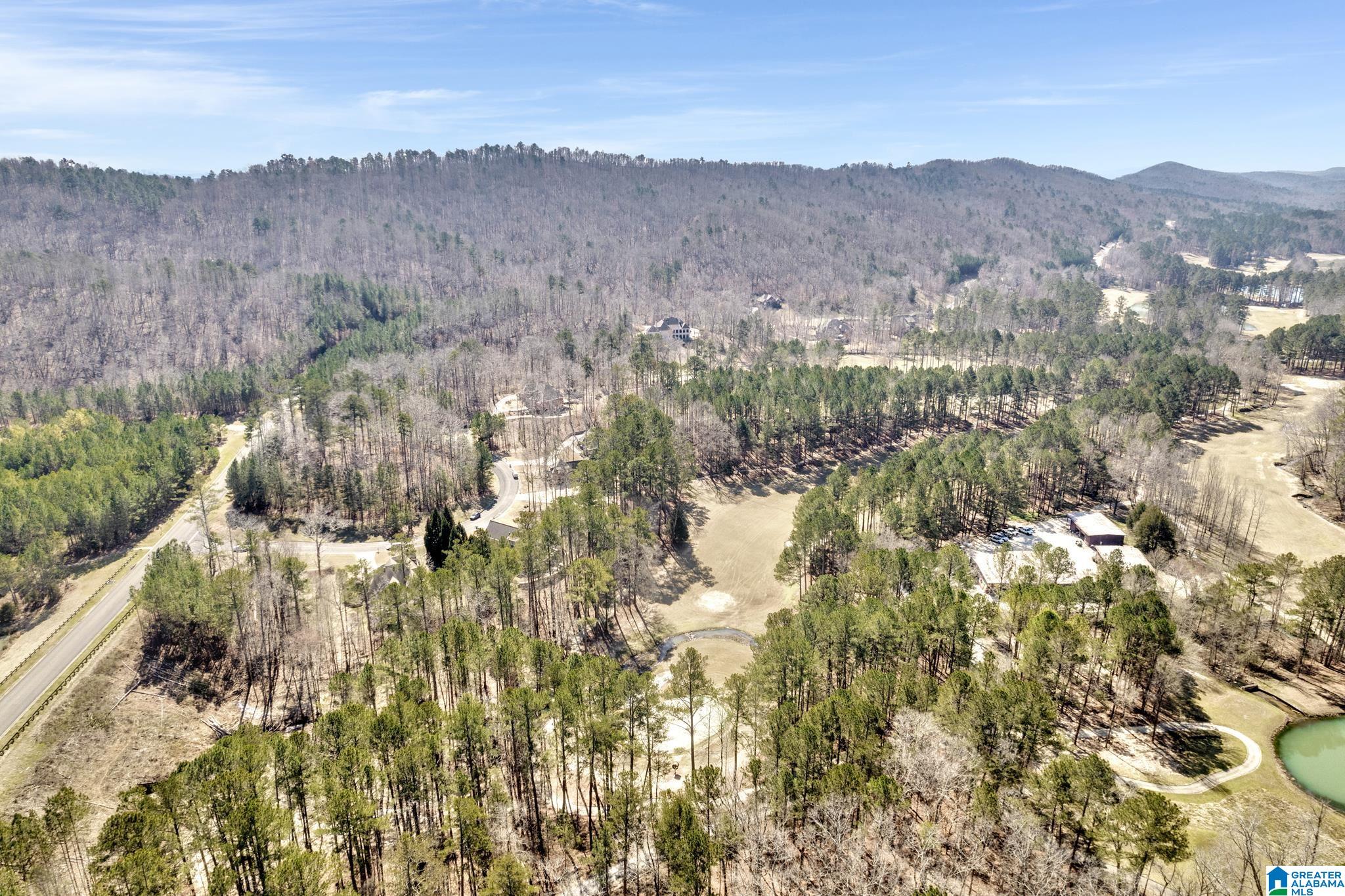 77 Broadmoor Loop Oneonta, AL 35121 - Photo 49 of 50