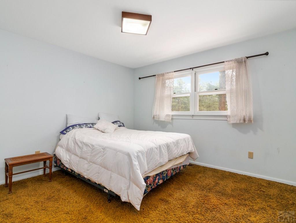 8145 Birch Drive Rye, CO 81069 - Photo 23 of 44
