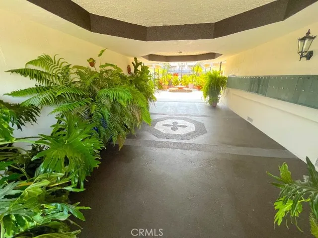 a view of a hallway with potted plants and wooden floor