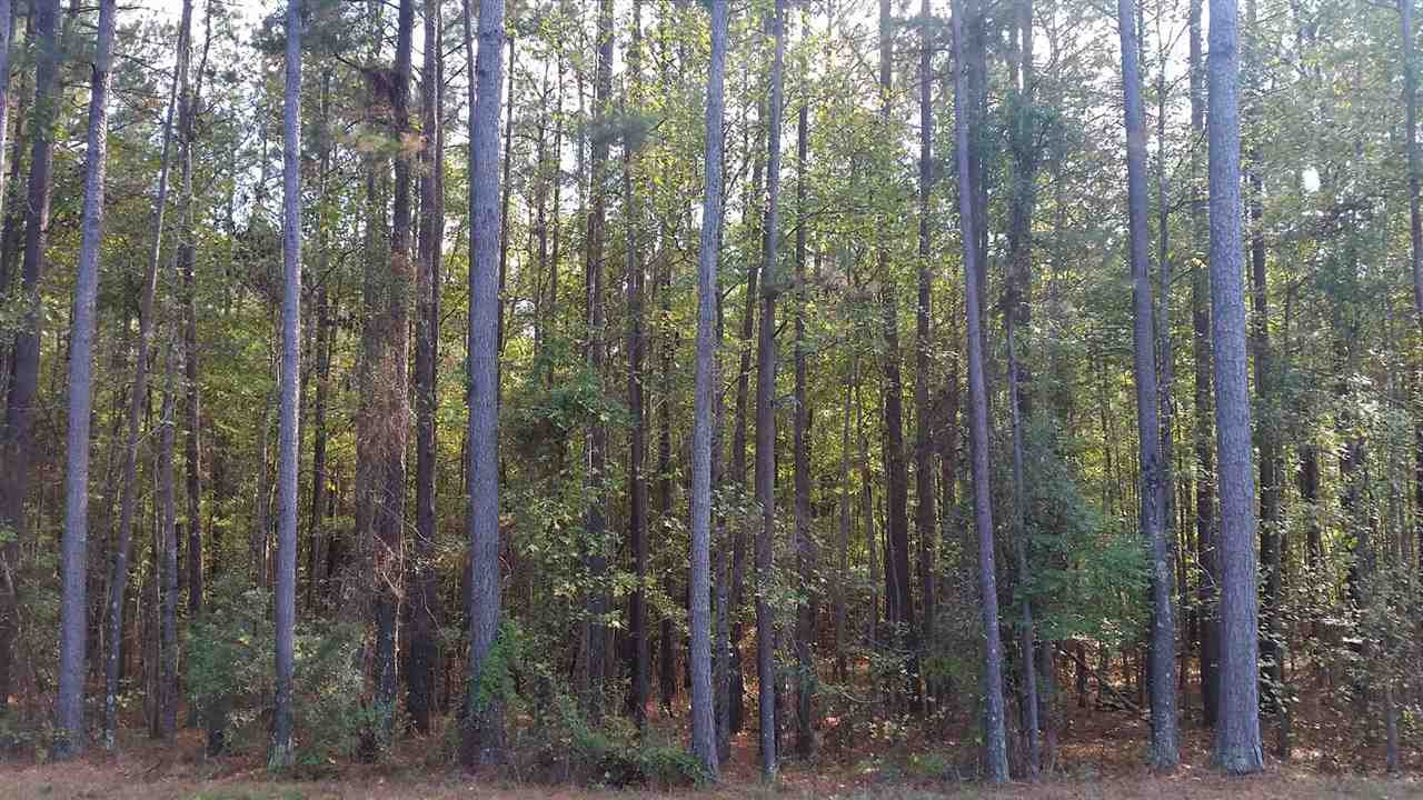 1196 Shiloh Road, Unit 2 Brandon, MS 39042 - Photo 6 of 15 Photo 6