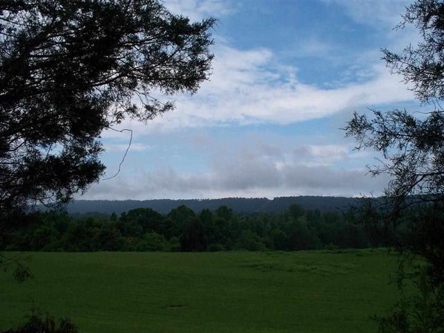 Cemeter Rd Spring Spring City, TN 37381 - Photo 8 of 13 view 7