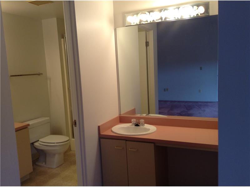 1608 Kenzie Road Pittsburgh, PA 15205 - Photo 20 of 25 Master Bath/Spa.