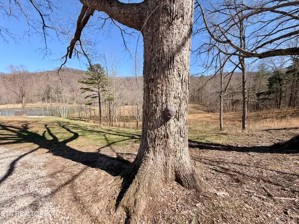 $1,250,000 | 293 Herbert Shannon Road, Sunbright, TN 37872