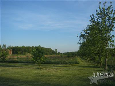 7535 McComb Road Churubusco, IN 46723 - Photo 11 of 13