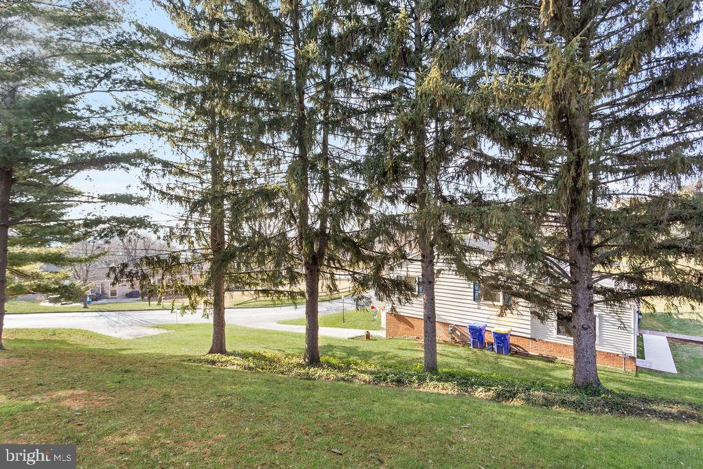 2276 Ridge Road York, PA 17406 - Photo 27 of 34 a view of a tree in a yard