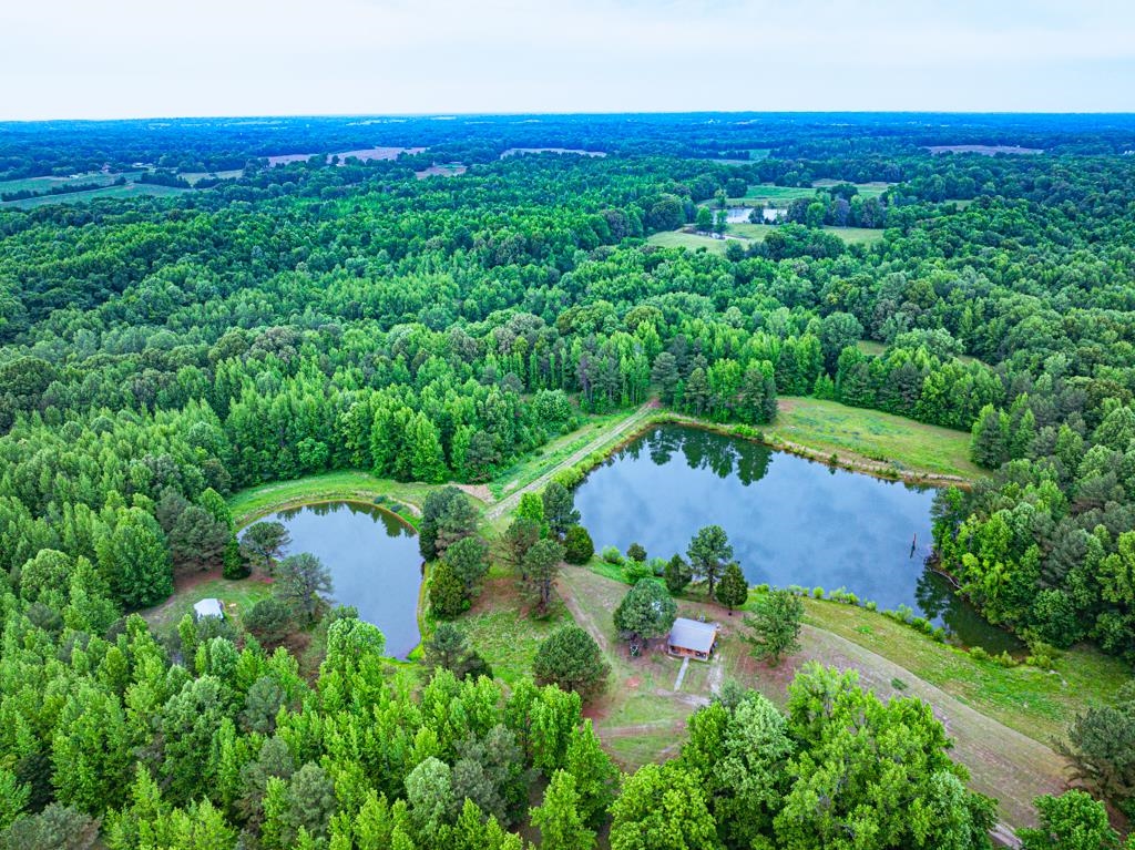 0 Poplar Grove Cemetery Road Henning, TN 38041 - Photo 23 of 40 Expansive wooded acreage featuring two tranquil ponds