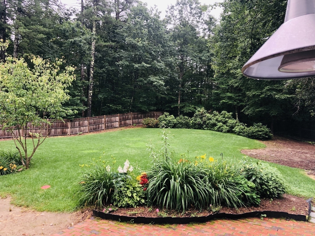 99 Lacy Road Jaffrey, NH 03452 - Photo 24 of 29 a view of a garden with plants