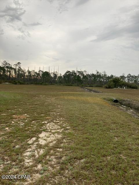 17300 Arisa Road Fountain, FL 32438 - Photo 10 of 19 Gallery Image 10