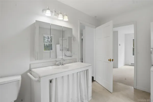 a bathroom with a sink a toilet and a mirror