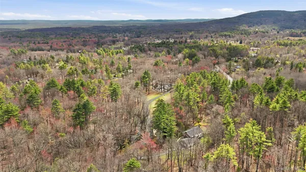 a view of a forest with mountains in the background