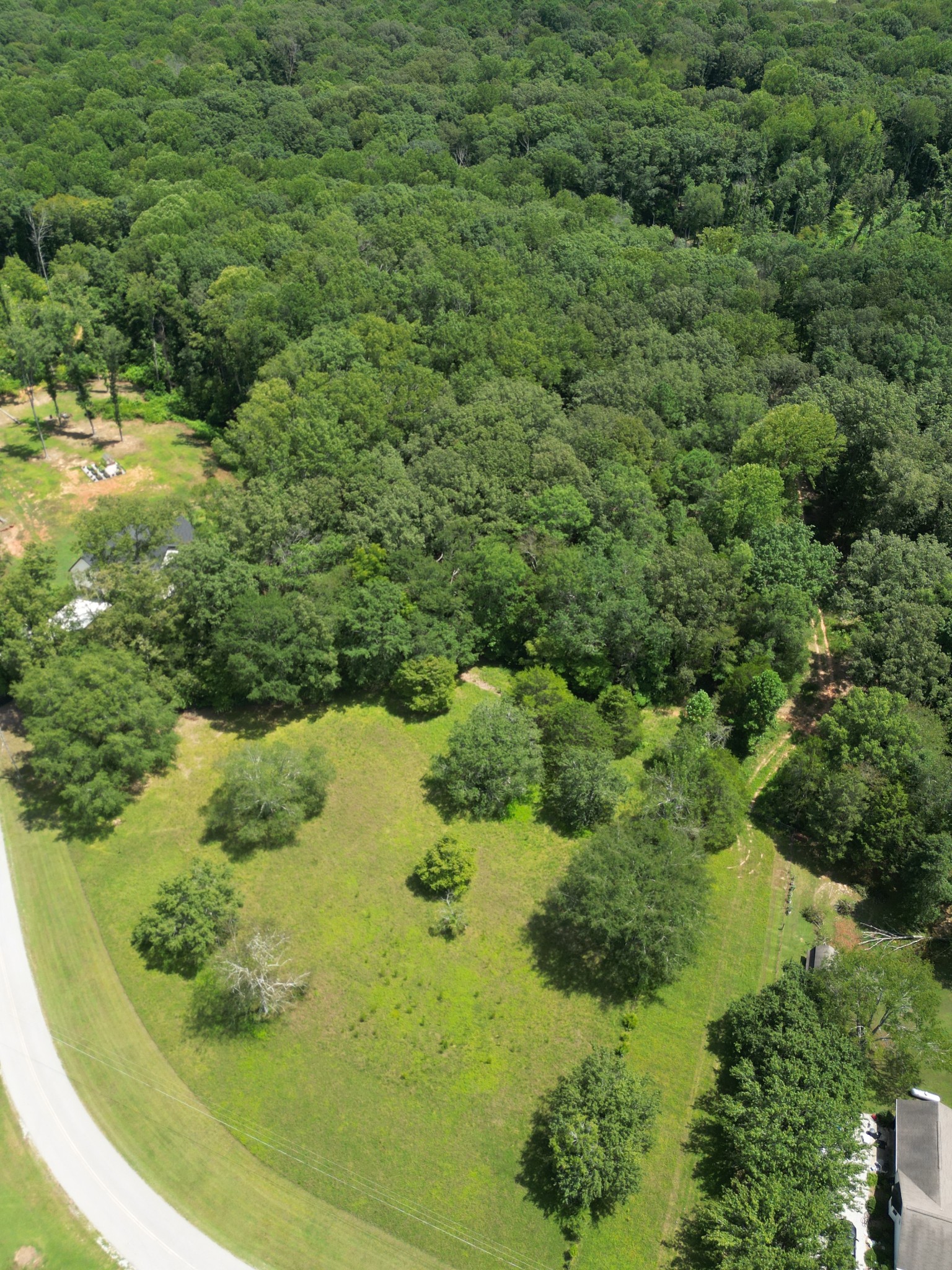 0 Union Road Winchester, TN 37398 - Photo 12 of 15 a view of a forest with a house