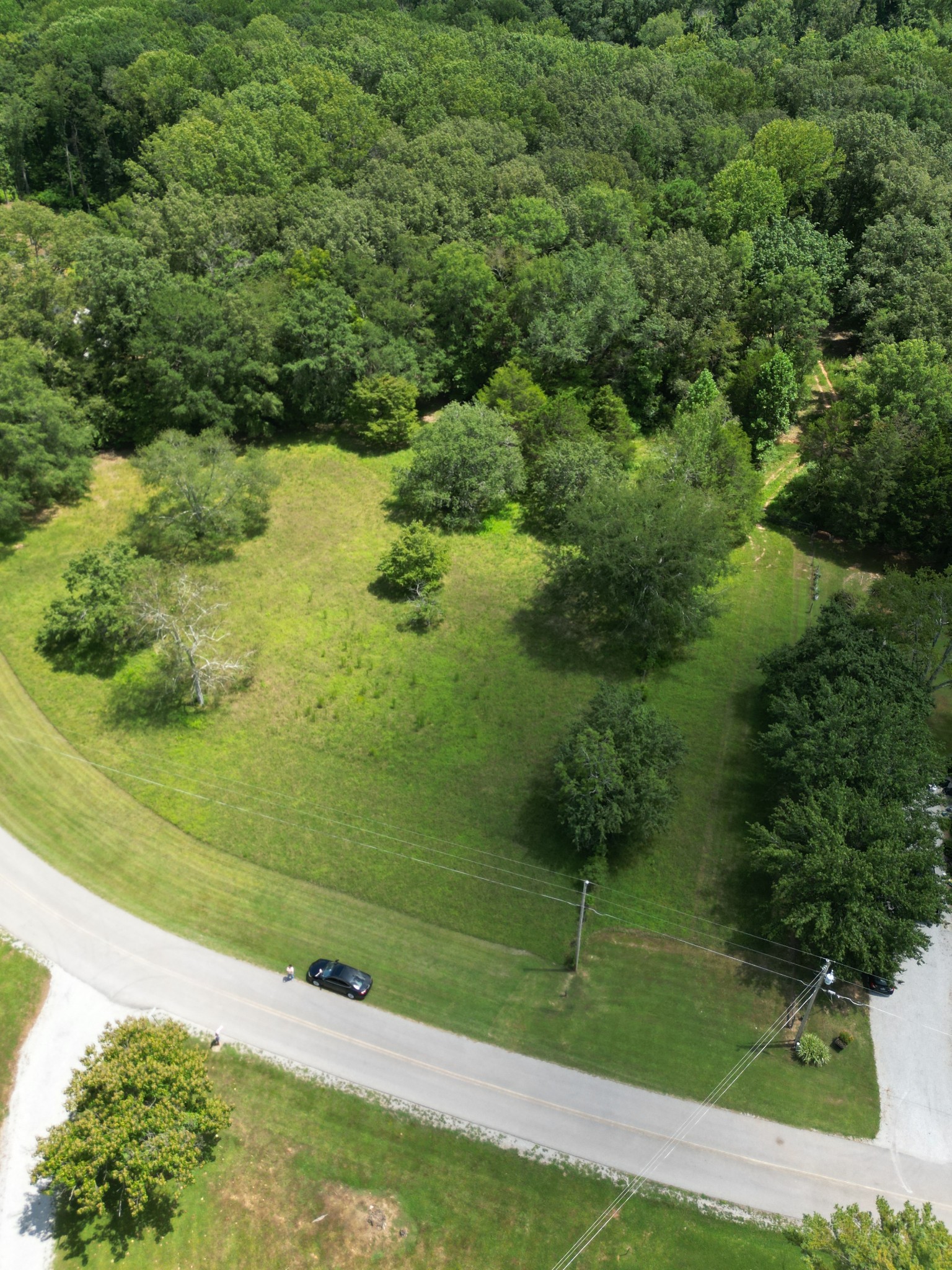 0 Union Road Winchester, TN 37398 - Photo 7 of 15 a view of a garden with a lake