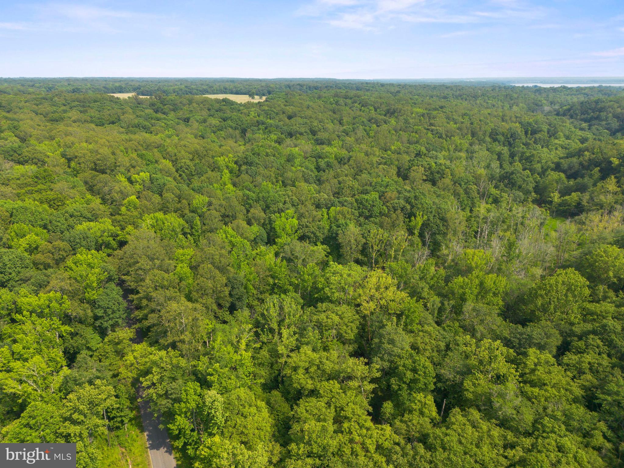 Lot 2 Salem Church Road King George, VA 22485 - Photo 2 of 10 a view of a field with an outdoor space