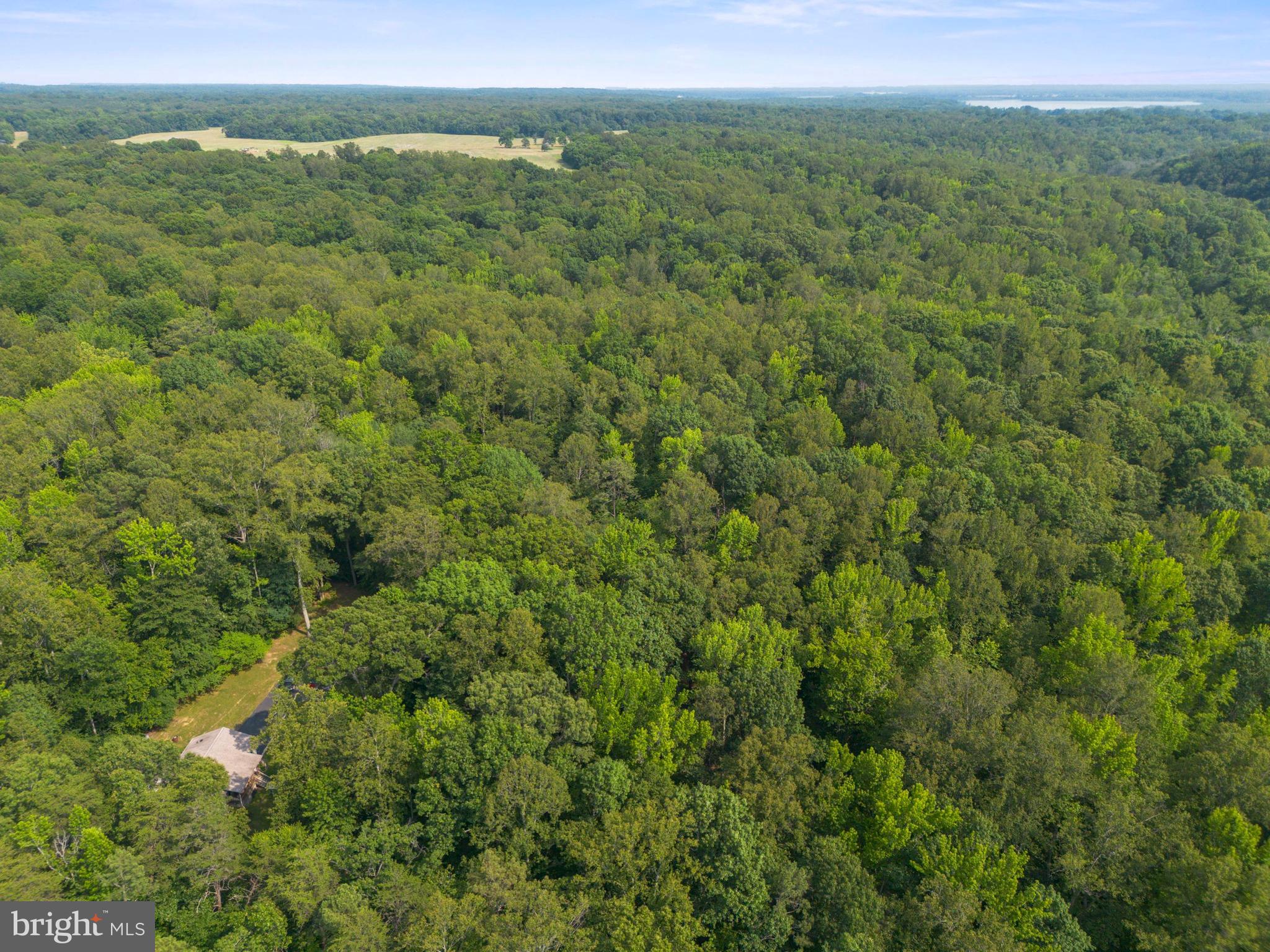 Lot 2 Salem Church Road King George, VA 22485 - Photo 4 of 10 a view of a lush green forest with trees and houses