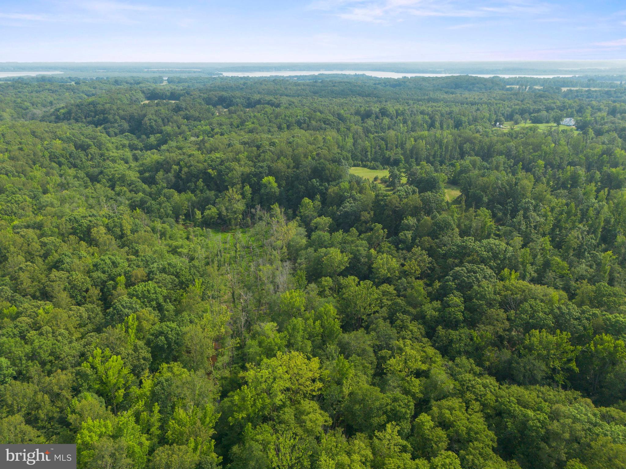 Lot 2 Salem Church Road King George, VA 22485 - Photo 6 of 10 a view of a green field with lots of bushes