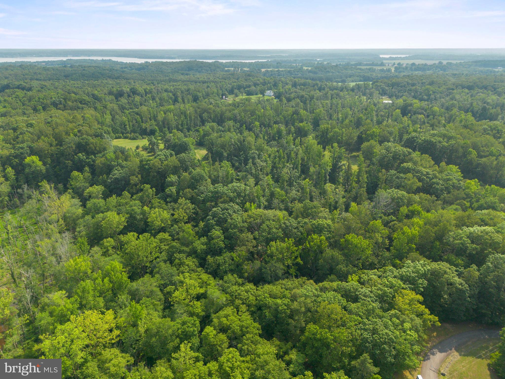 Lot 2 Salem Church Road King George, VA 22485 - Photo 7 of 10 a view of a lush green forest with trees and some houses