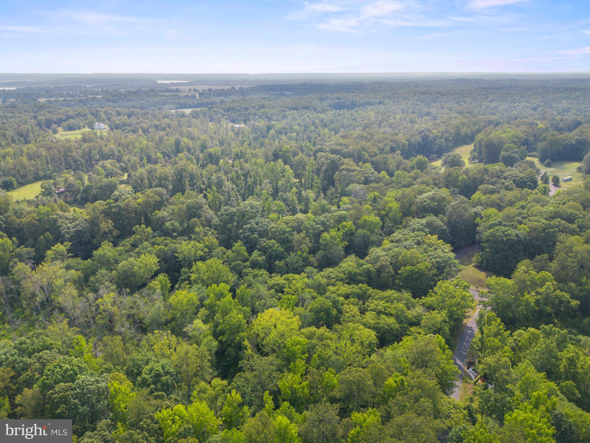 Lot 2 Salem Church Road King George, VA 22485 - Photo 8 of 10 an aerial view of houses covered in trees