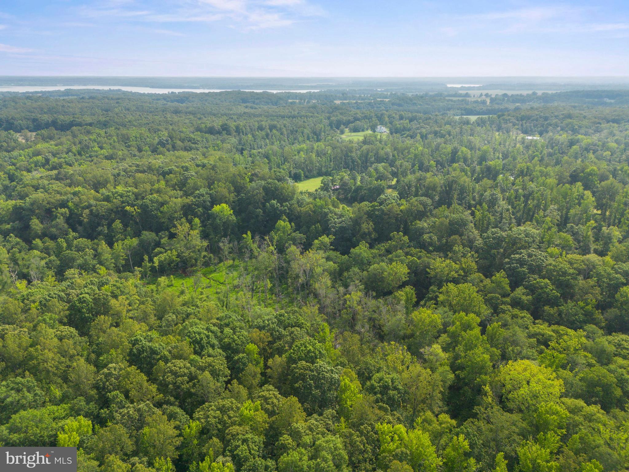 Lot 2 Salem Church Road King George, VA 22485 - Photo 9 of 10 an aerial view of houses covered in trees