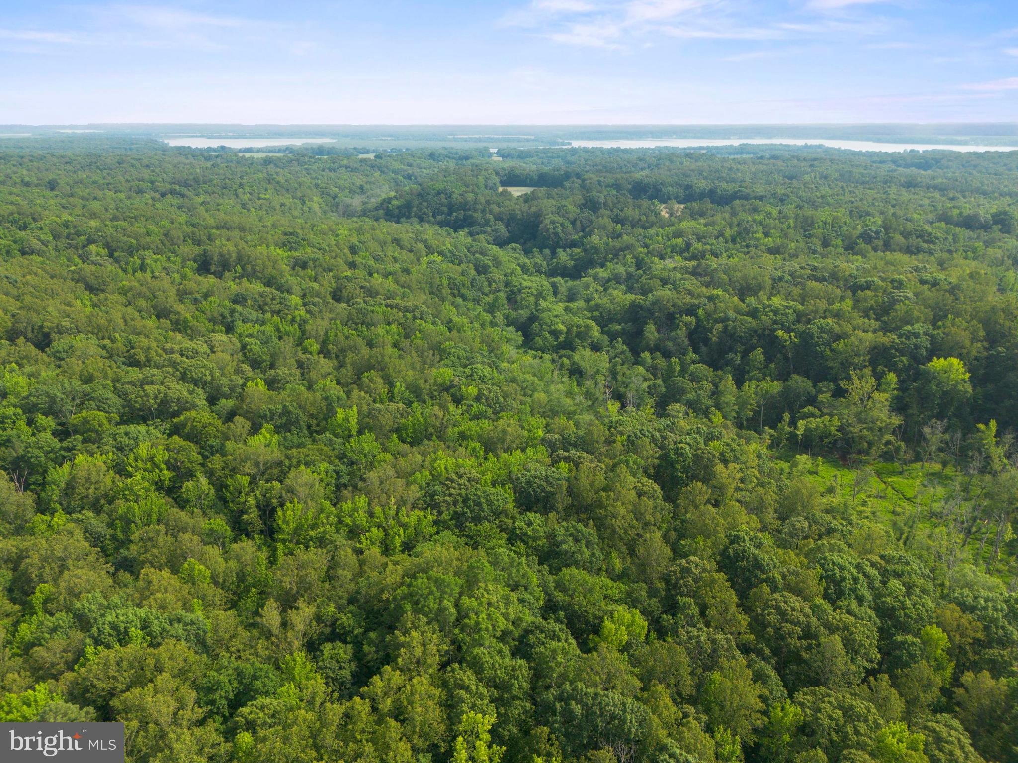 Lot 2 Salem Church Road King George, VA 22485 - Photo 10 of 10 a view of a field of grass and trees
