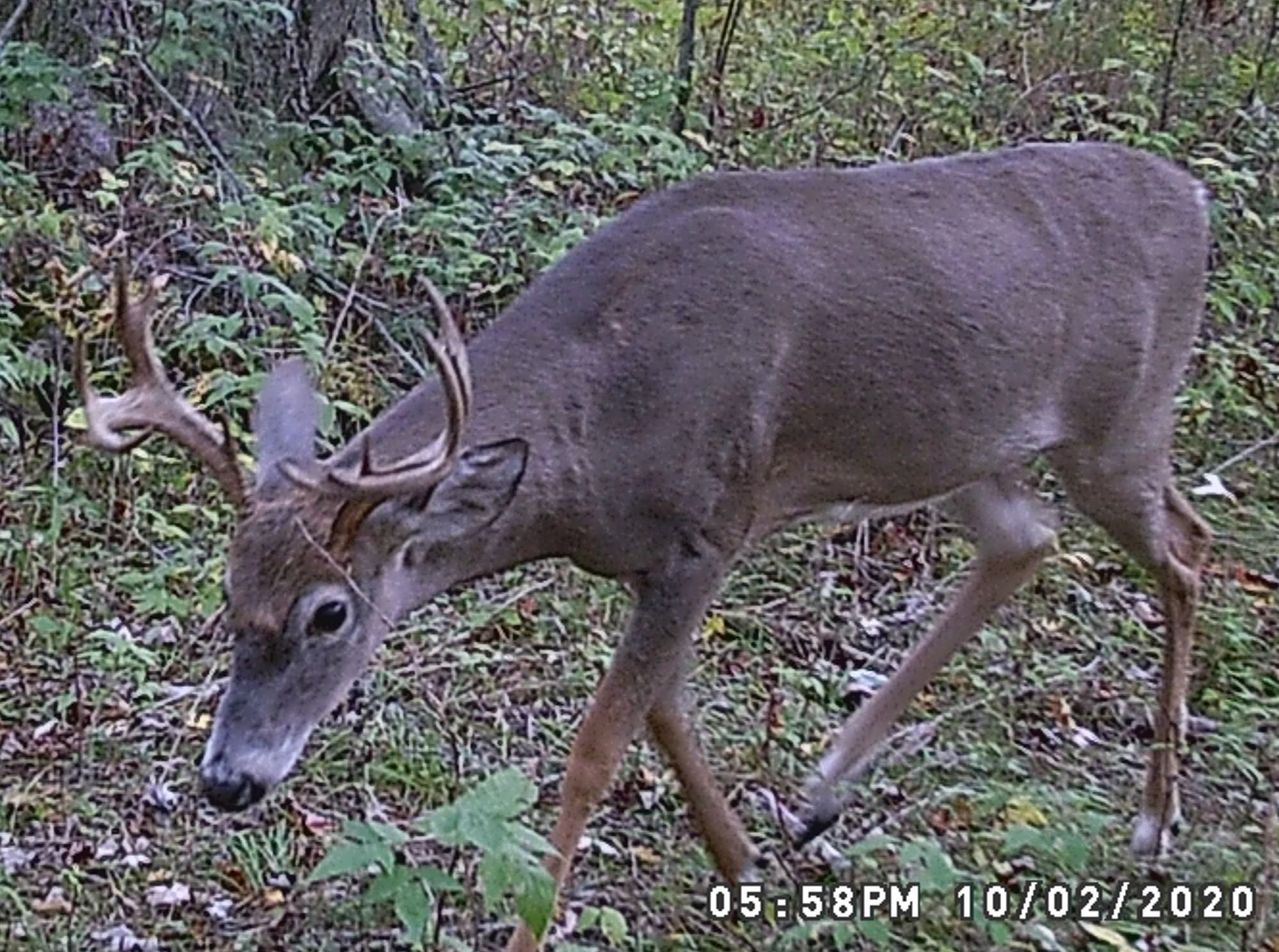 0 West Bessinger Road Omer, MI 48749 - Photo 13 of 16