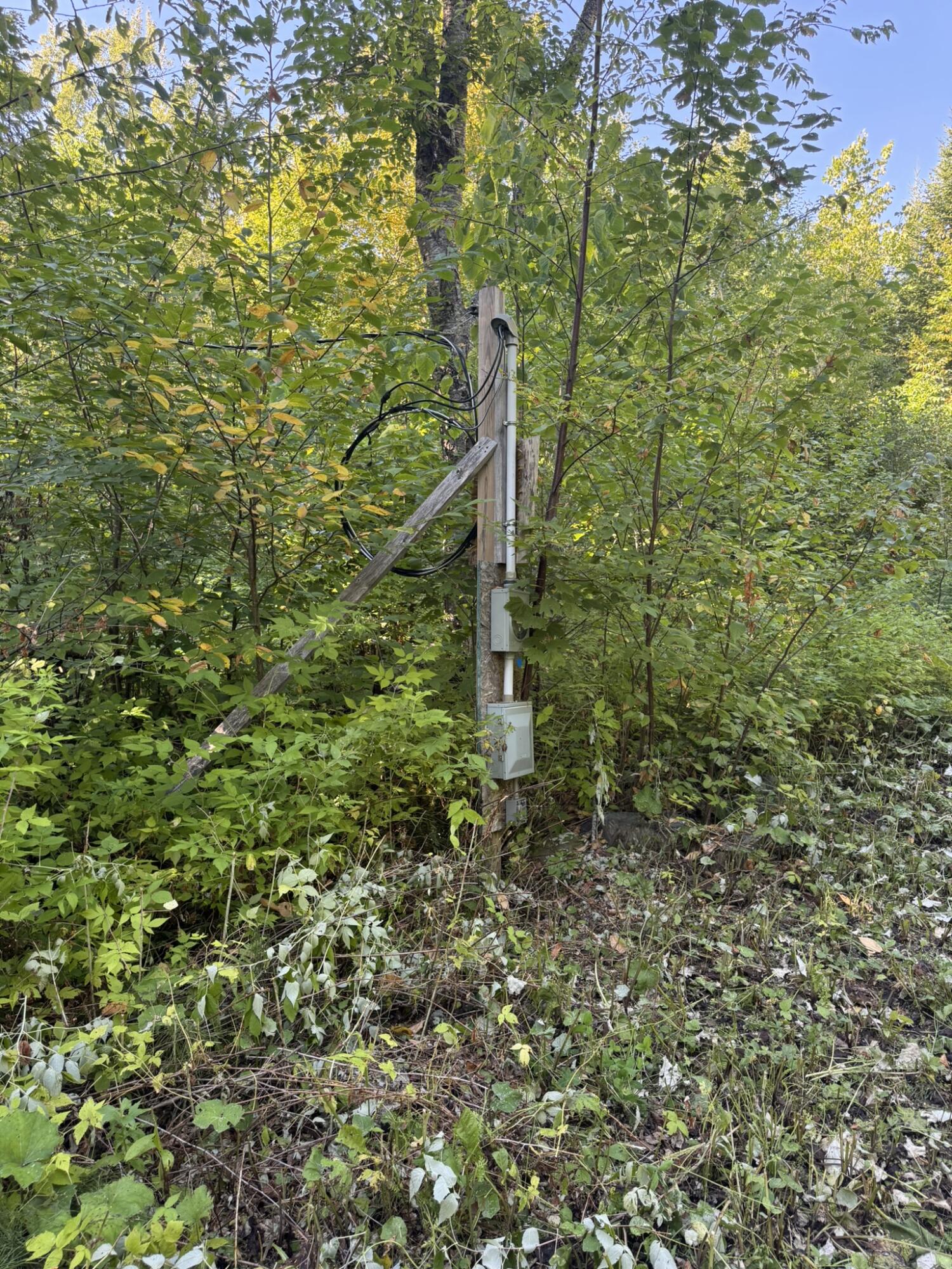 509 Woodland Ridge Road Danforth, ME 04424 - Photo 6 of 11 IMG_9350