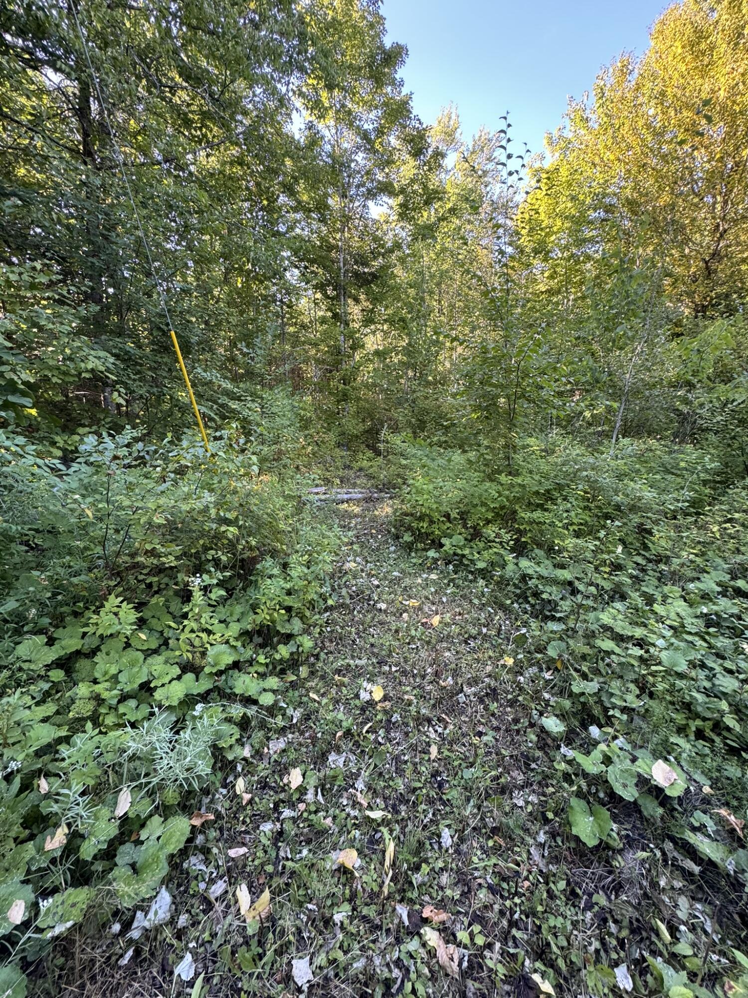 509 Woodland Ridge Road Danforth, ME 04424 - Photo 9 of 11 IMG_9353