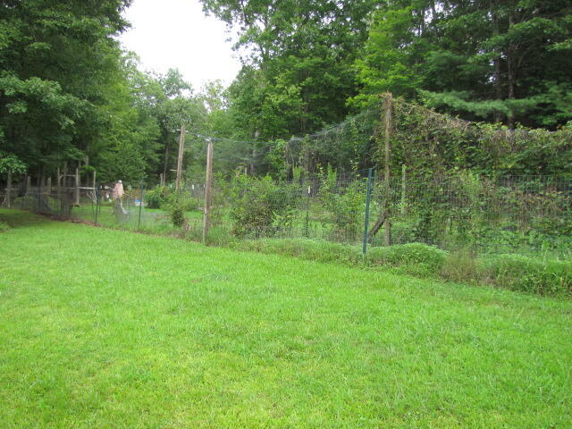 238 Anthony Road Deer Lodge, TN 37726 - Photo 22 of 30 IMG_0012
