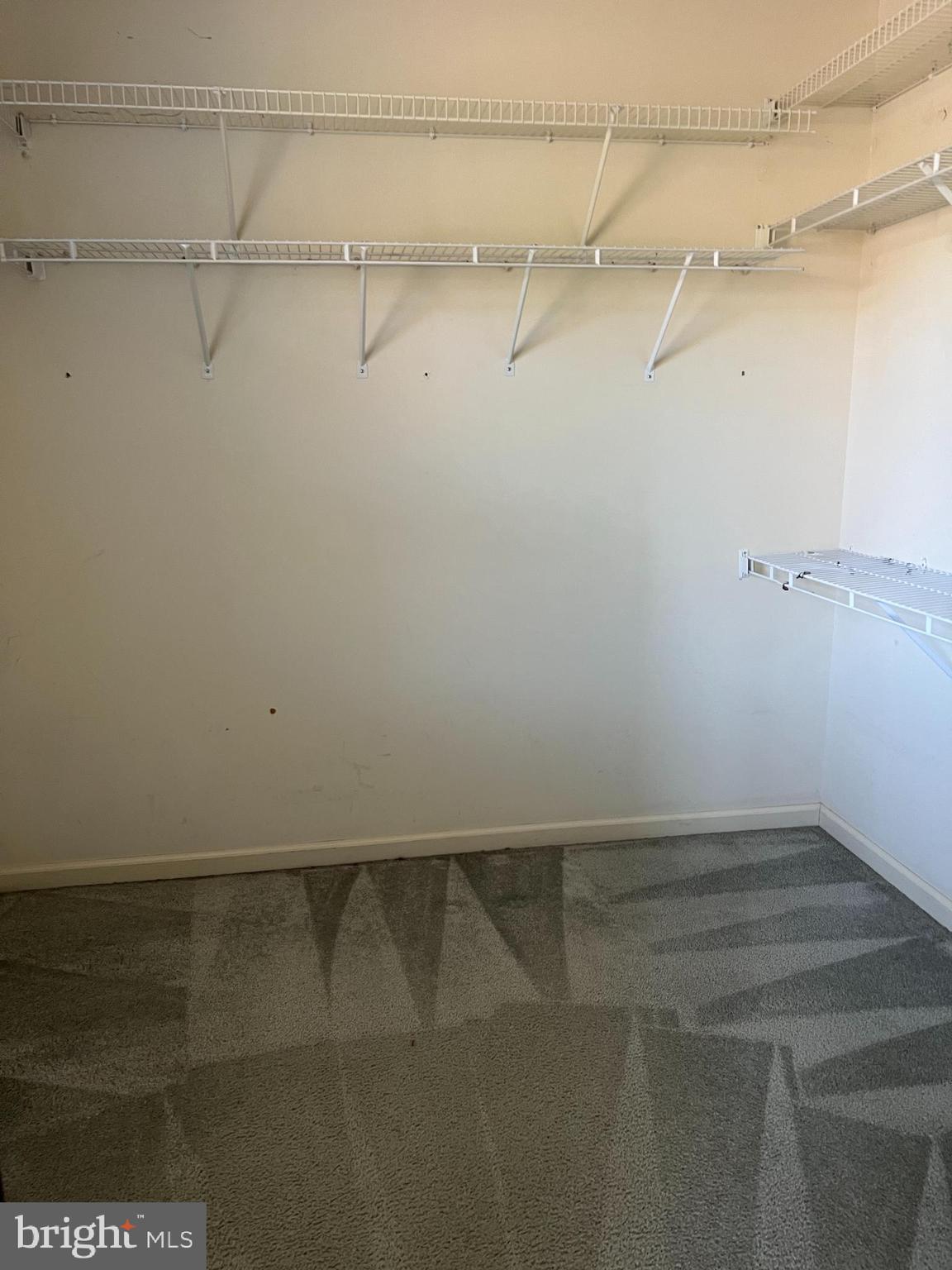8 Deer Run Road Perkasie, PA 18944 - Photo 19 of 41 Walk-in closet