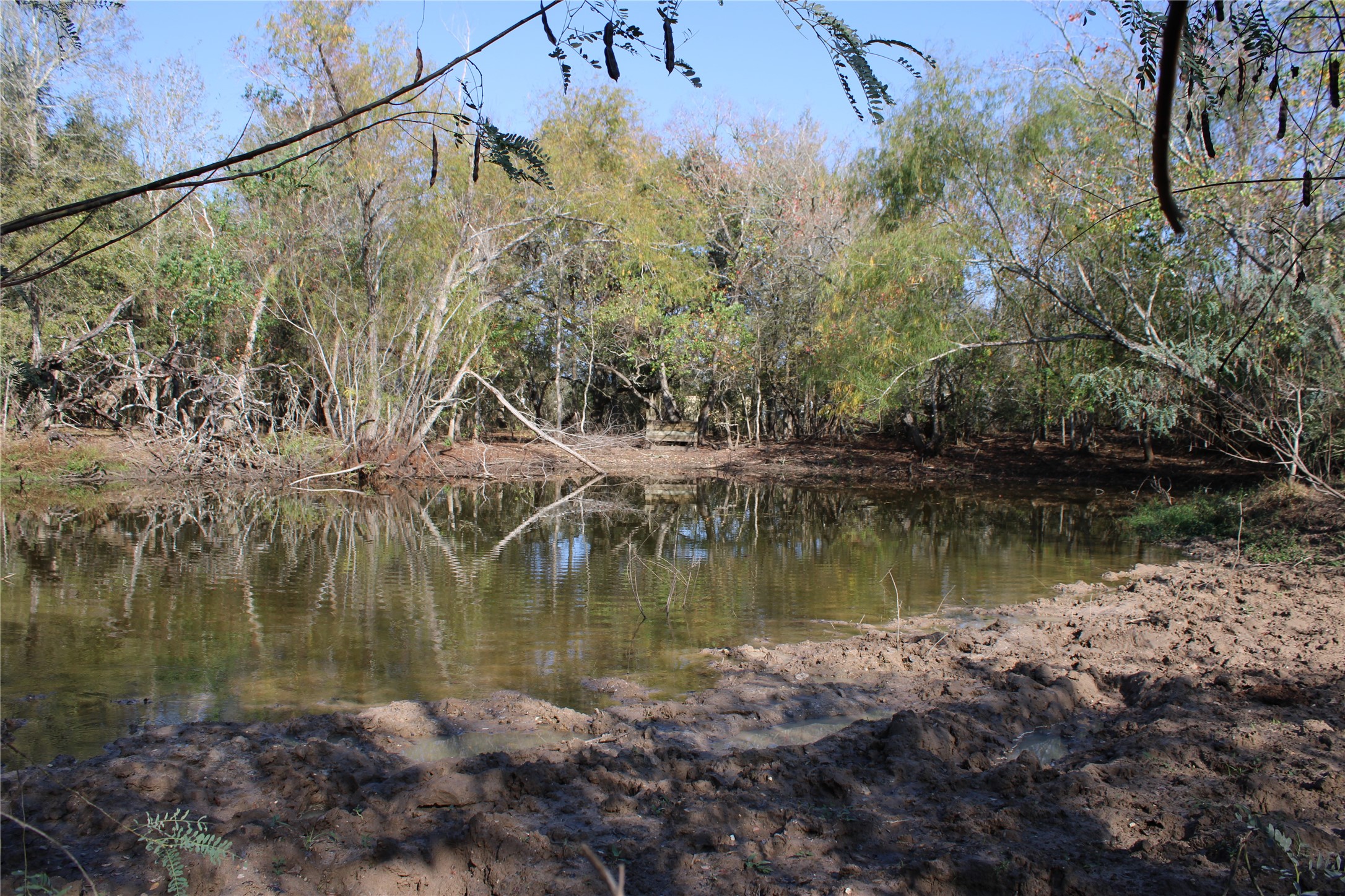 3514 US 90 Glidden, TX 78943 - Photo 11 of 18 a view of a lake in between two large trees