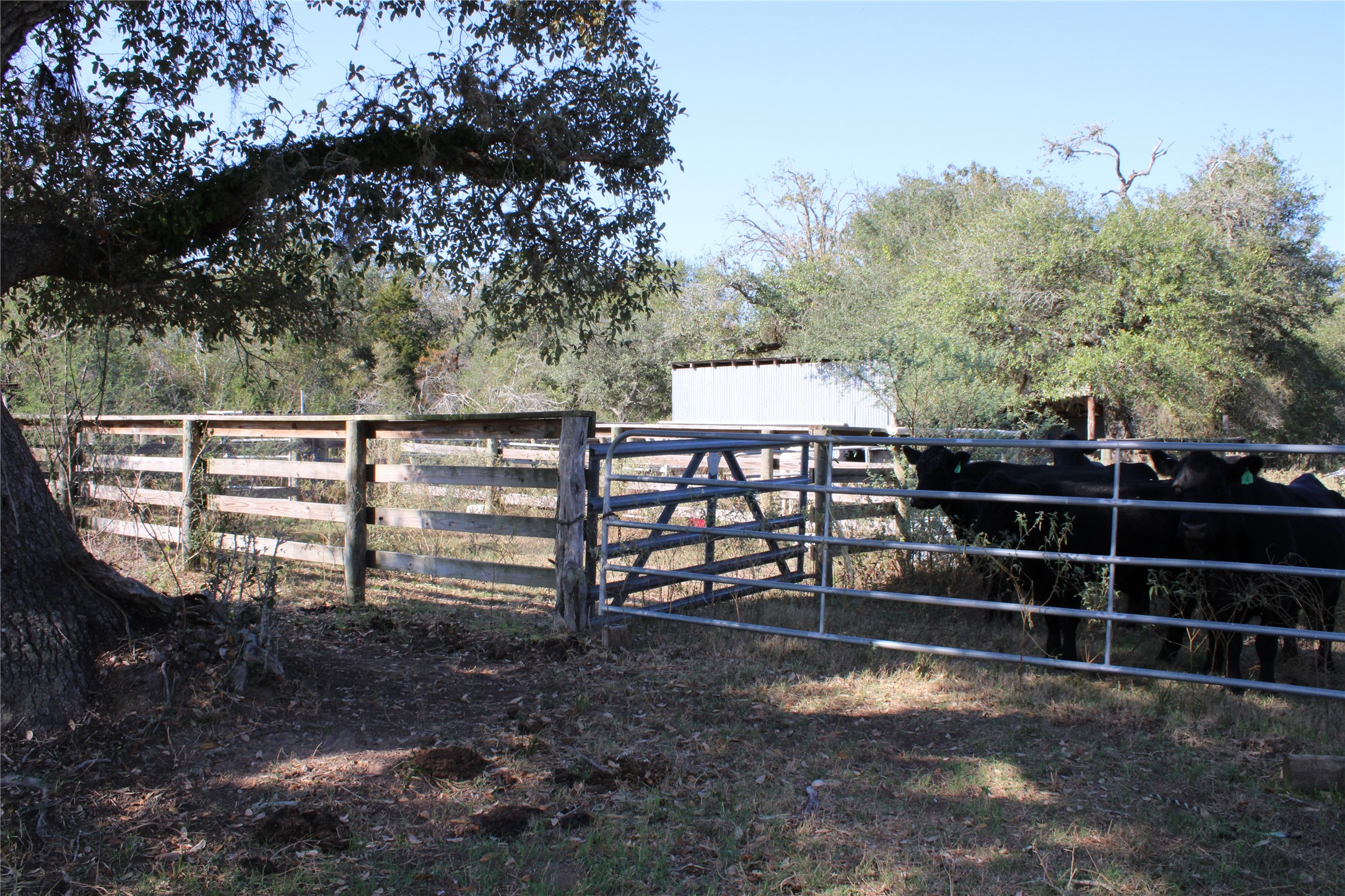 3514 US 90 Glidden, TX 78943 - Photo 13 of 18 a view of a wooden fence and trees