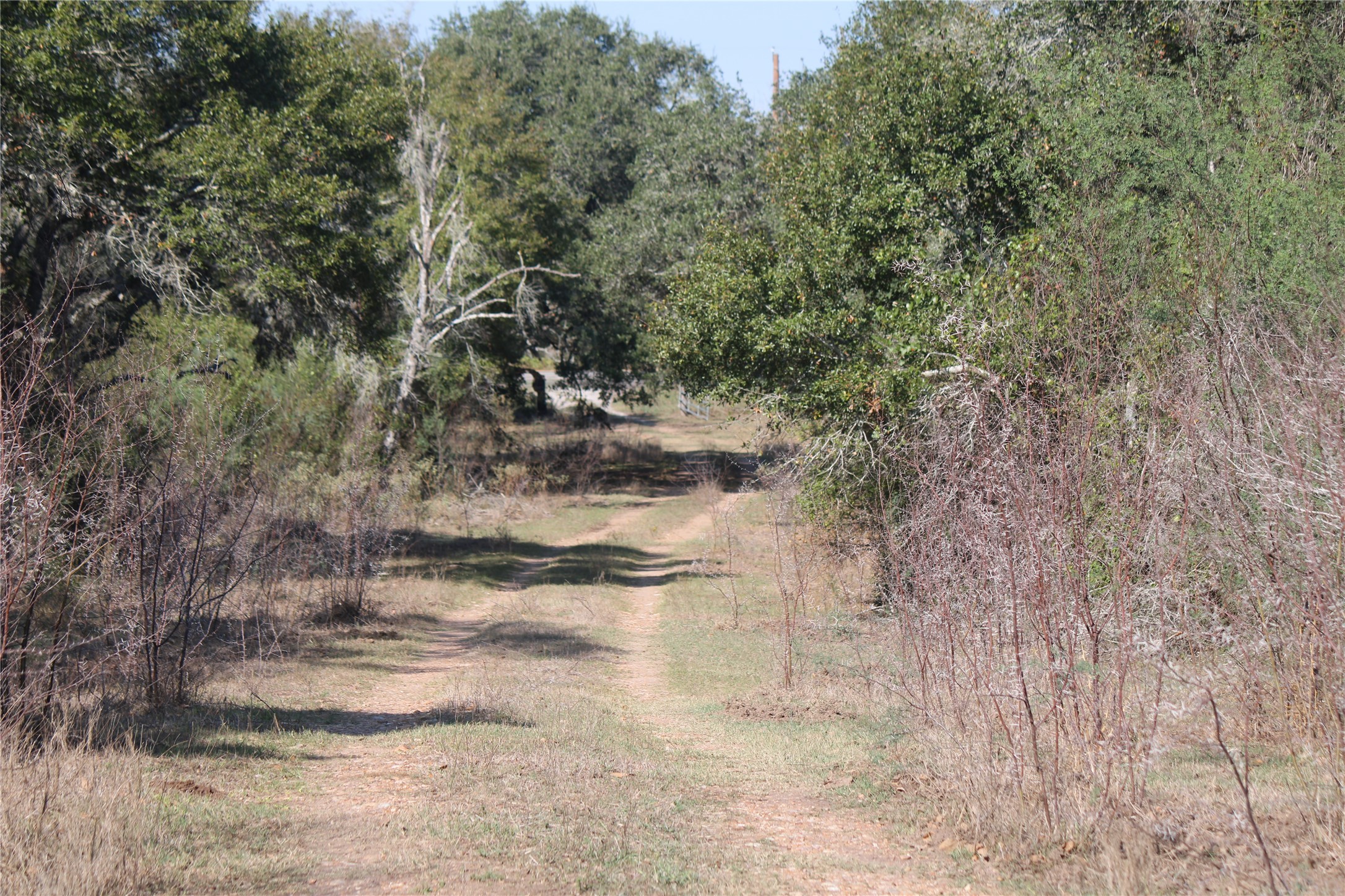 3514 US 90 Glidden, TX 78943 - Photo 2 of 18 a view of natural light