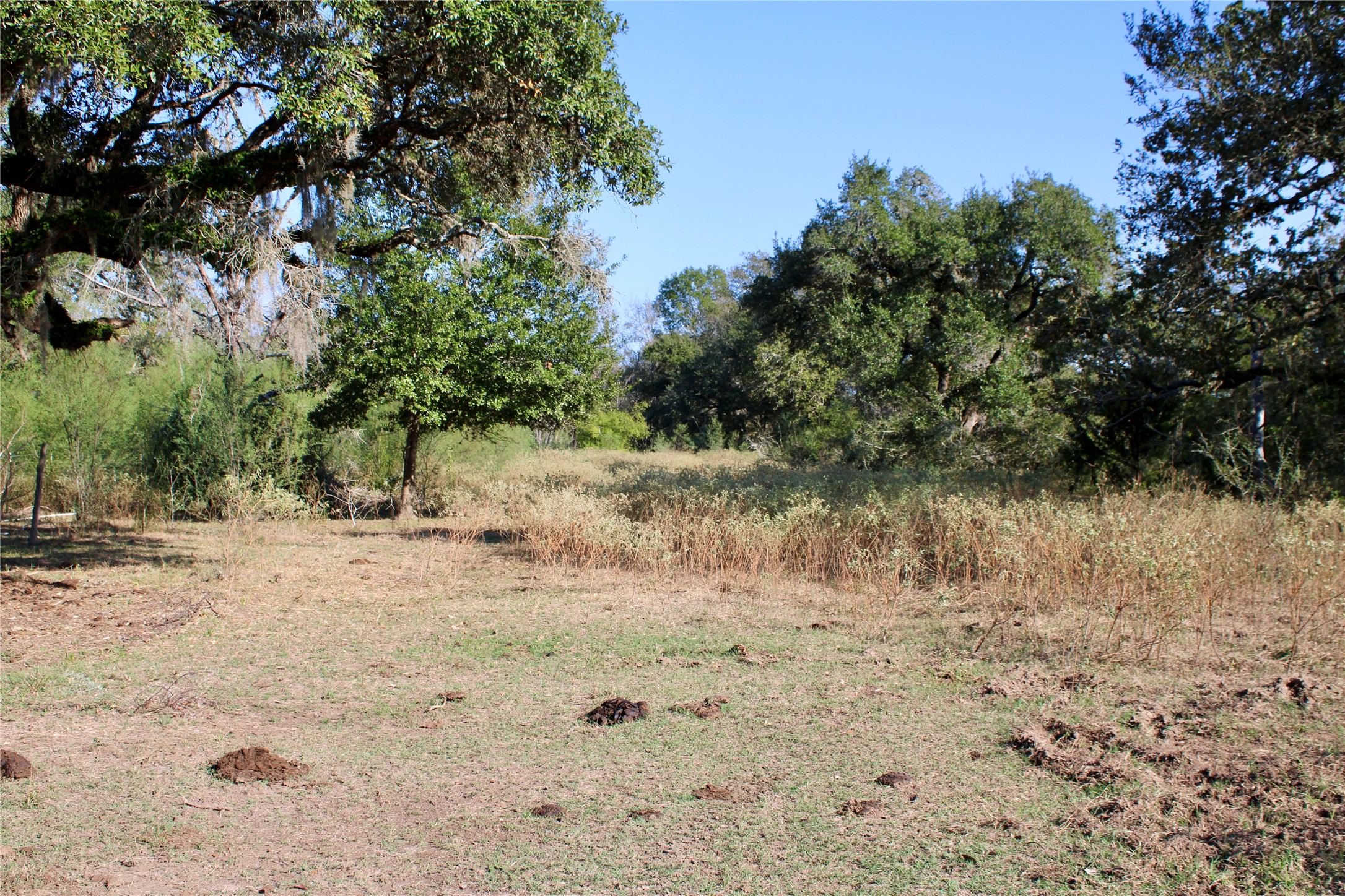 3514 US 90 Glidden, TX 78943 - Photo 3 of 18 a view of a lake view