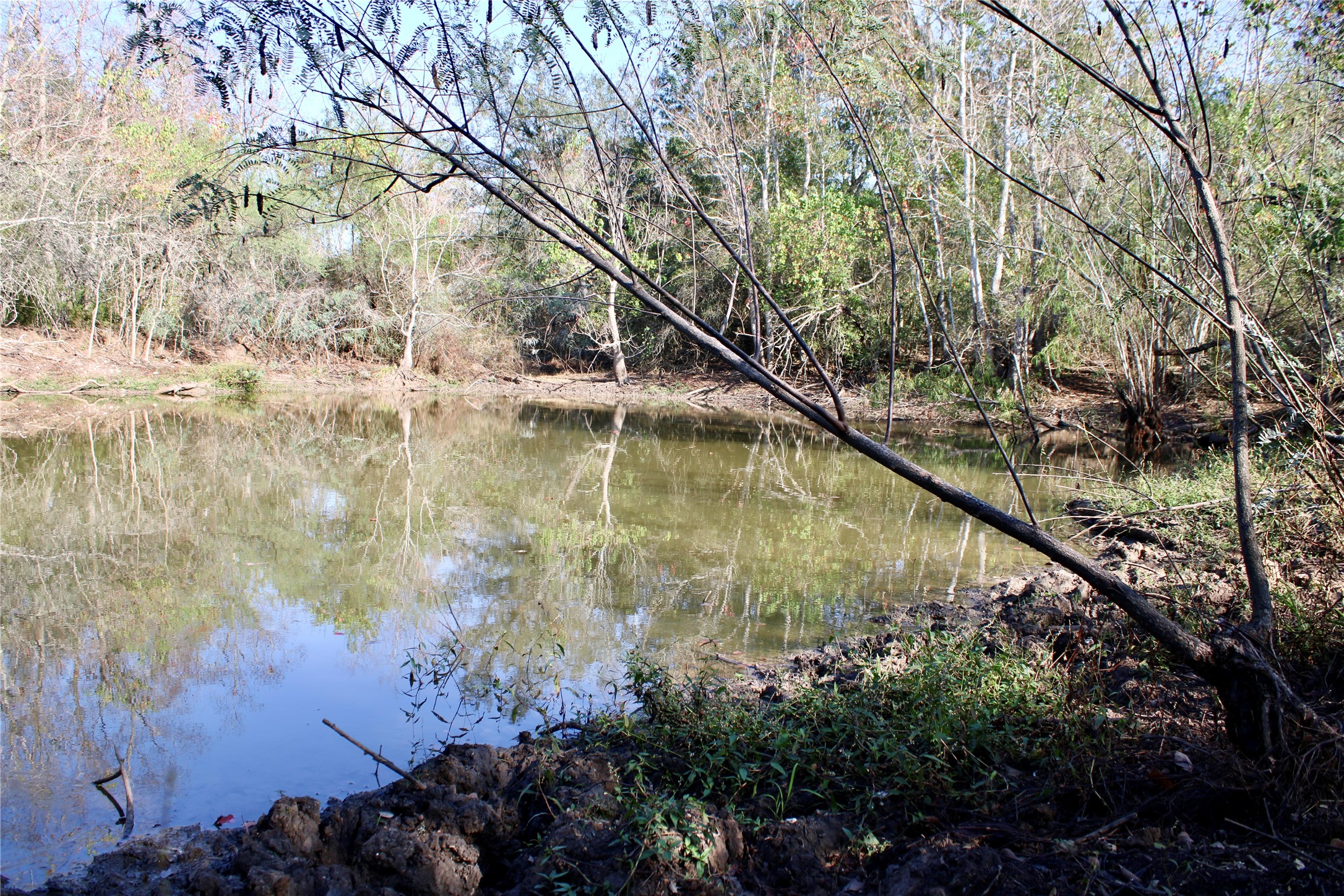 3514 US 90 Glidden, TX 78943 - Photo 9 of 18 a view of a lake in a forest