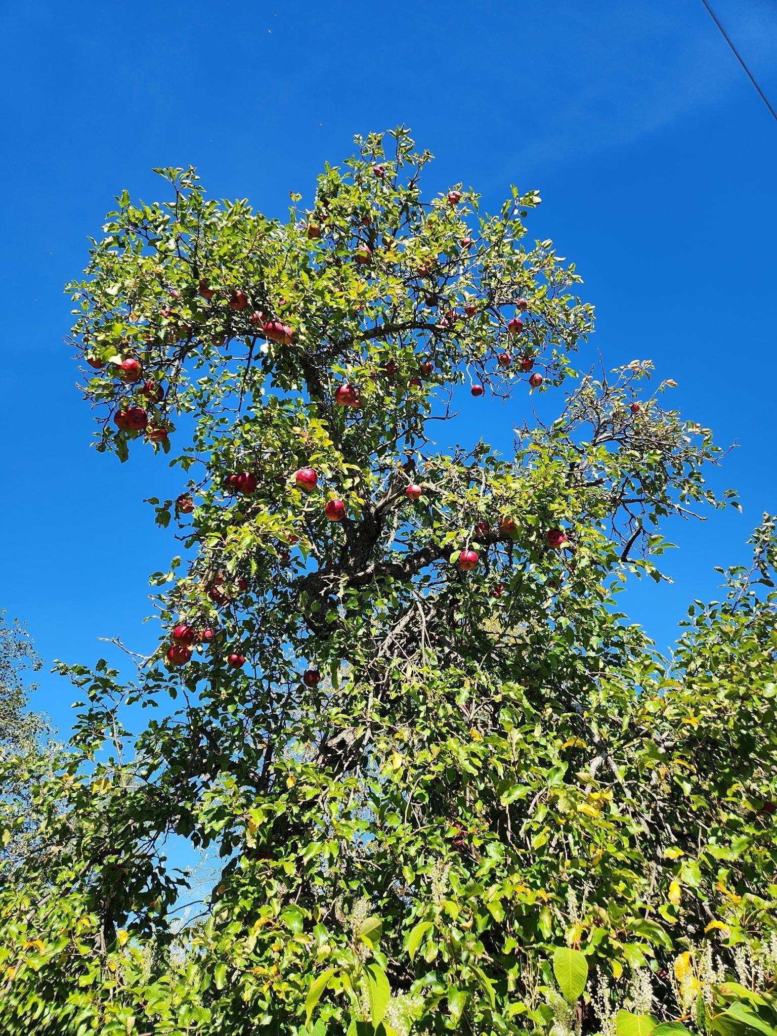 766 Swamp Road Fairfield, VT 05455 - Photo 56 of 60
