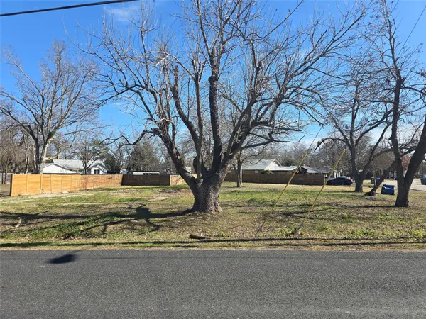 a view of backyard with tree