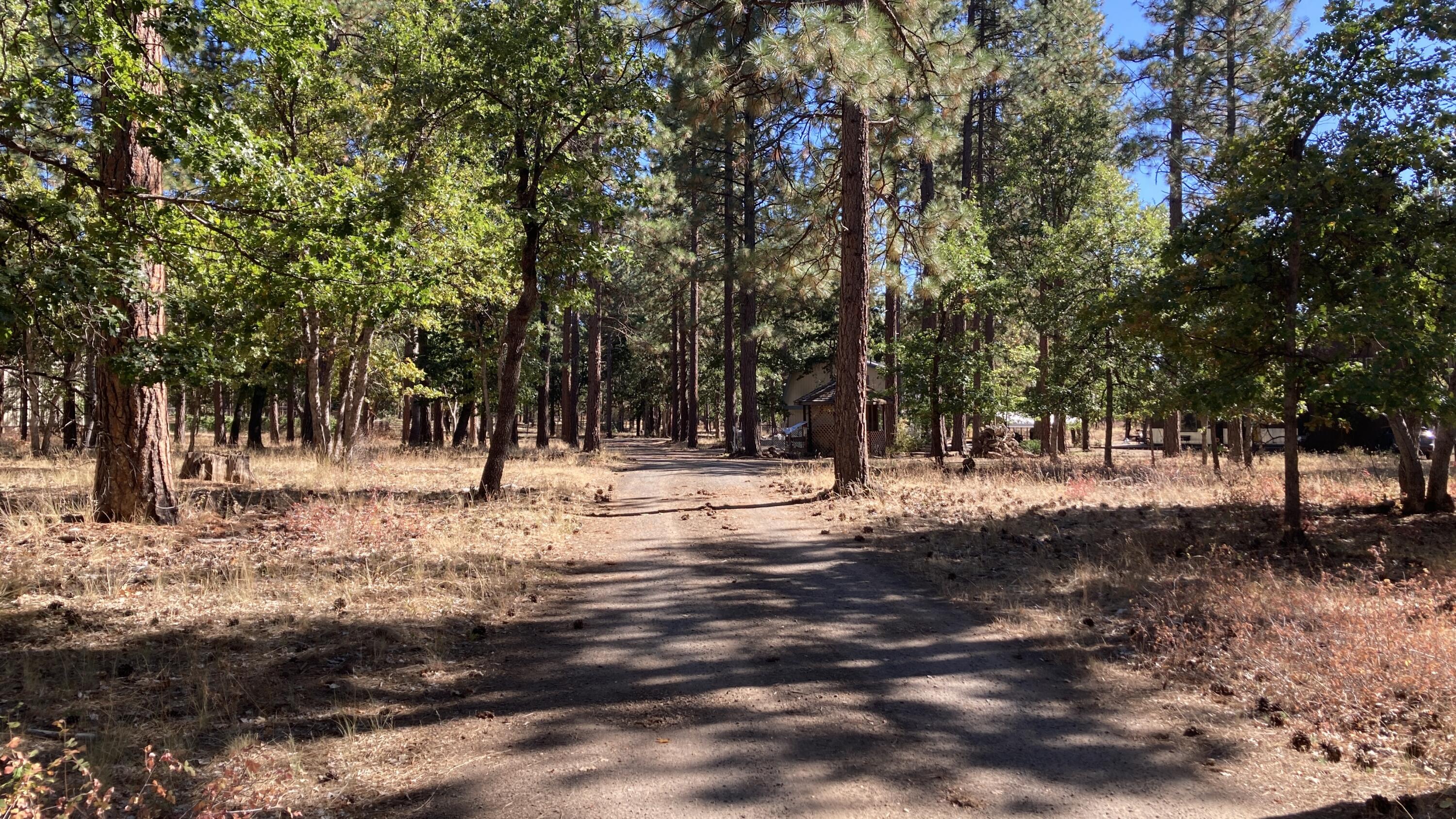 640-540 Iris Road McArthur, CA 96056 - Photo 2 of 41 a view of road with trees