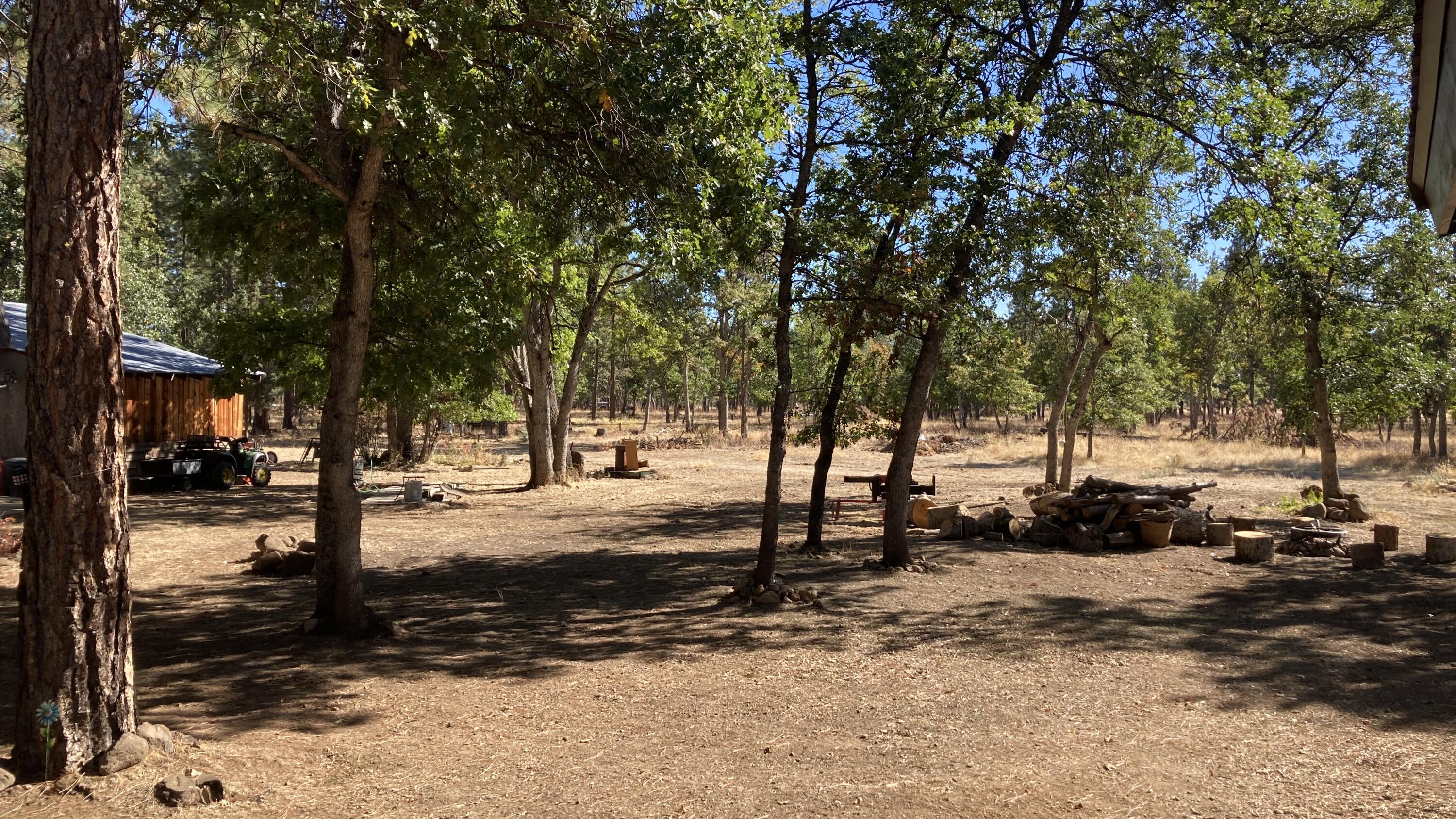 640-540 Iris Road McArthur, CA 96056 - Photo 21 of 41 a view of road with trees
