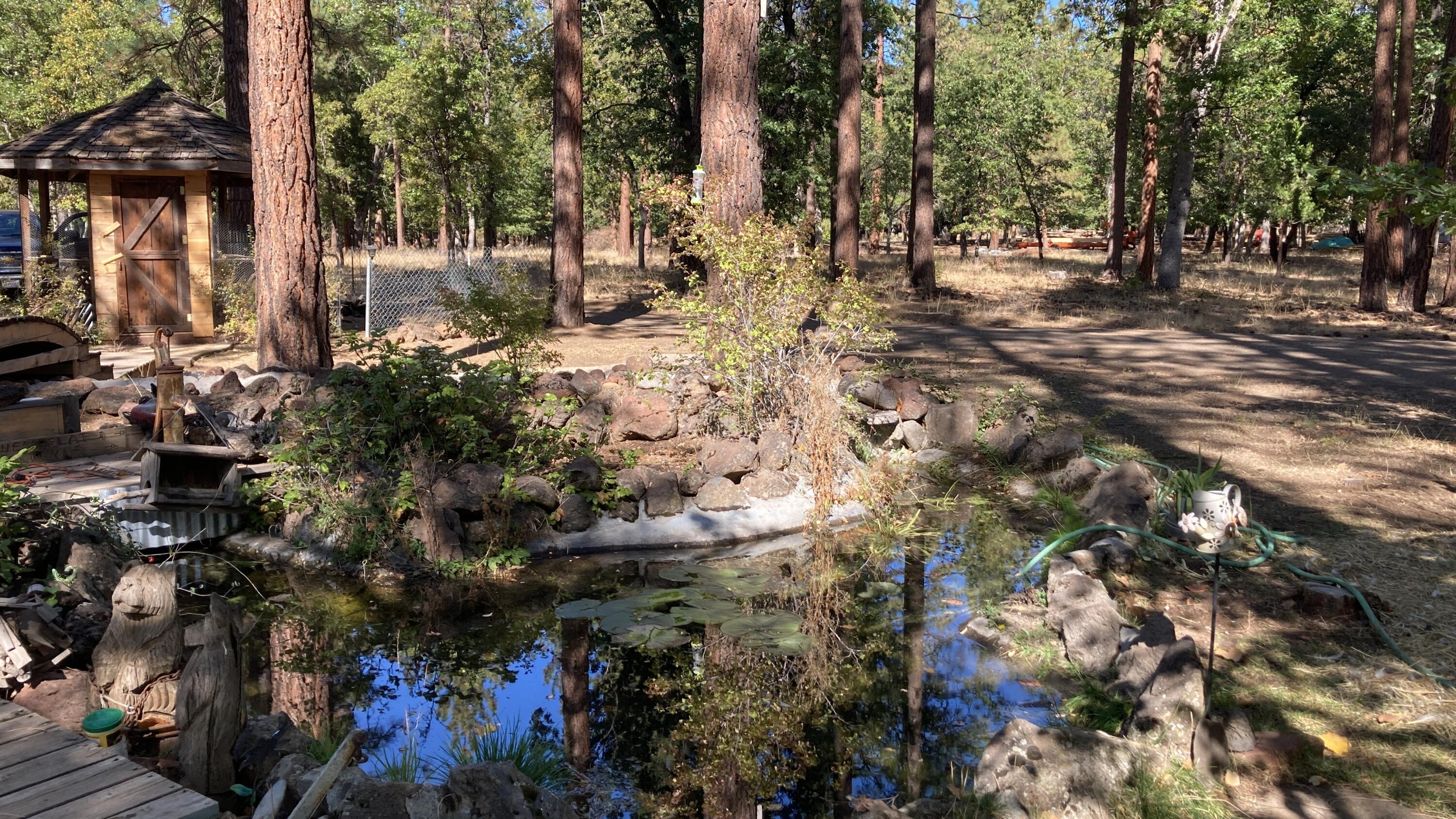 640-540 Iris Road McArthur, CA 96056 - Photo 4 of 41 a view of outdoor space with lots of trees