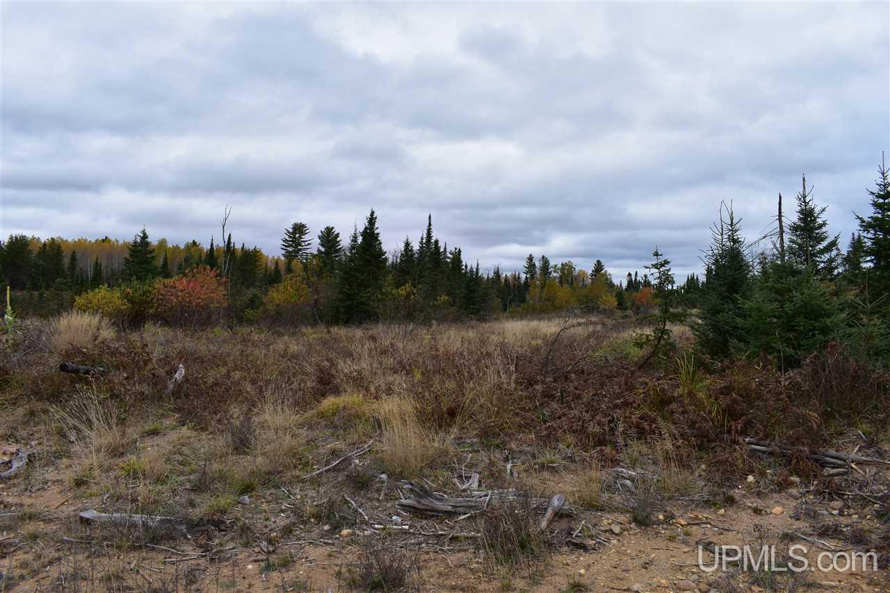 40-acres 40-acres Off Co Road Gwinn, MI 49841 - Photo 6 of 22