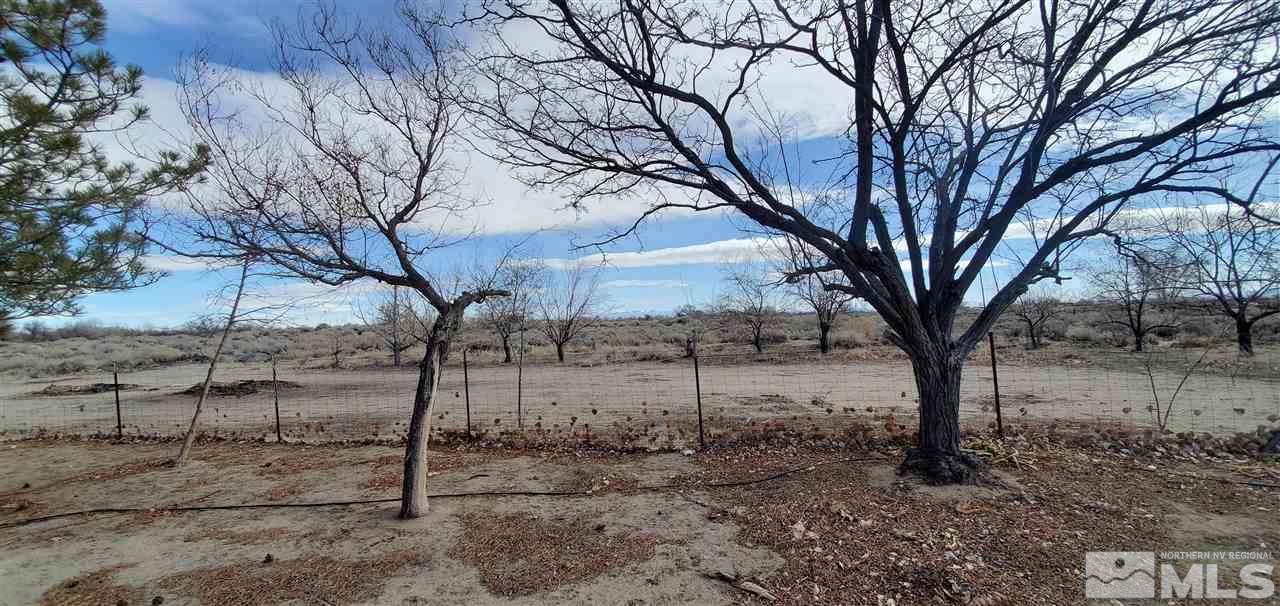 3585 Boyer Road Fallon, NV 89406 - Photo 21 of 32 Photo 21