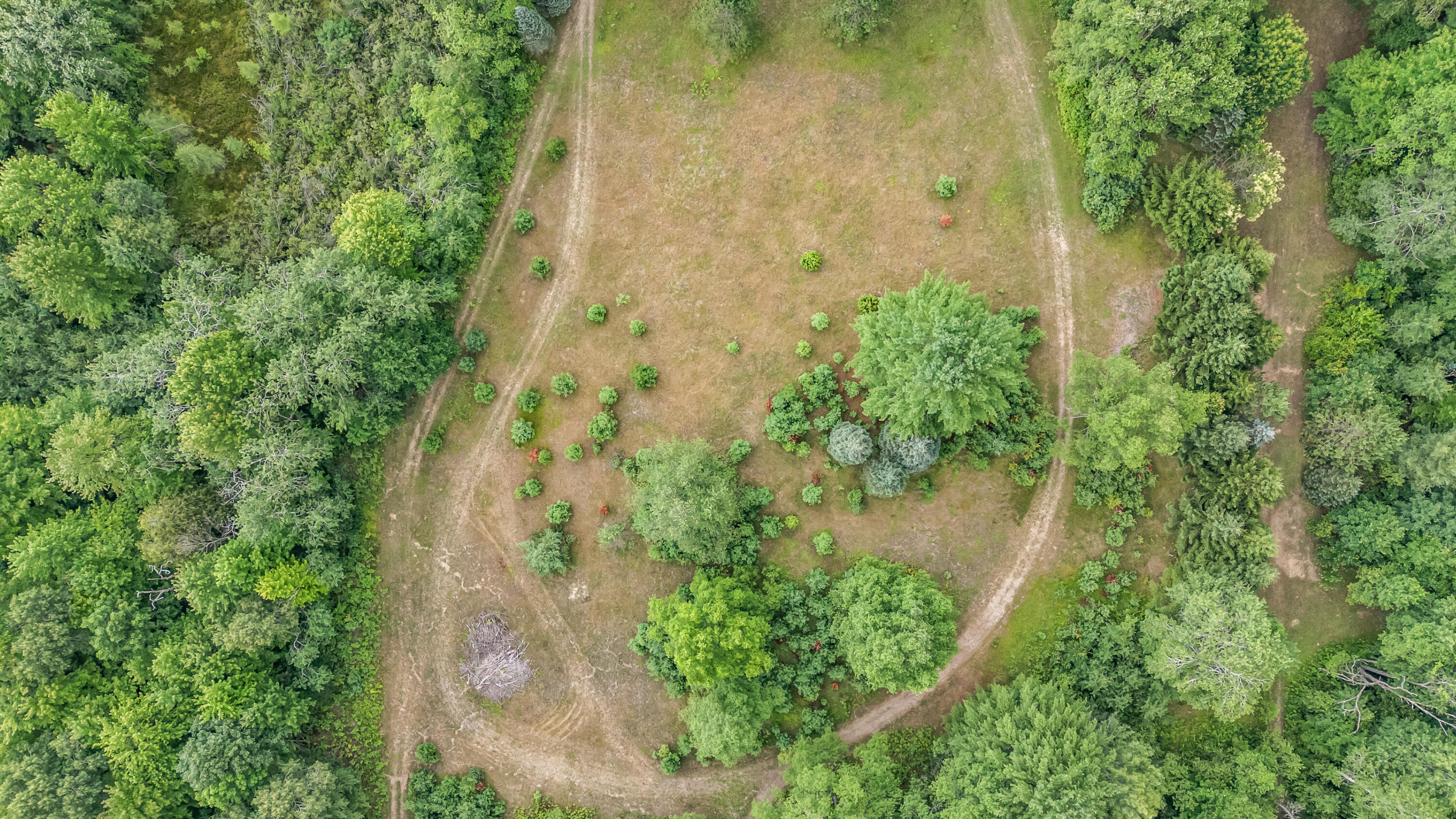 20290 11 Mile Road Leroy, MI 49655 - Photo 10 of 38 20290-11MileRd-LeRoy-37