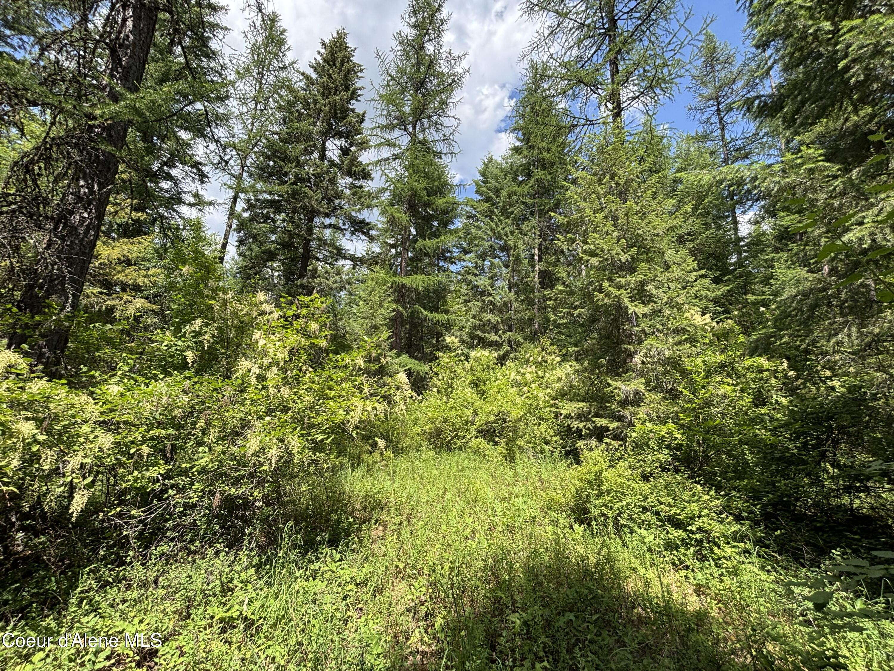 Nna Nna Road Cocolalla, ID 83813 - Photo 5 of 15 Summer 4