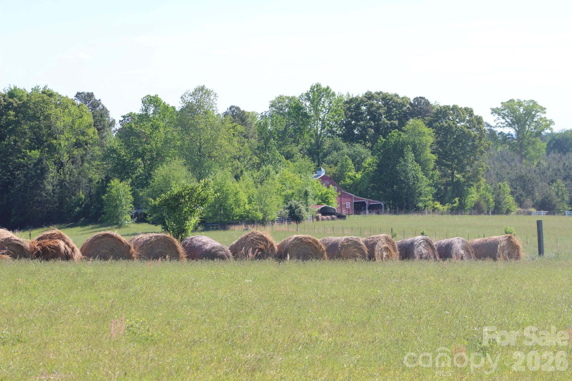 Lot 2 Lambs Grill Road, Unit 2 Rutherfordton, NC 28139 - Photo 21 of 22