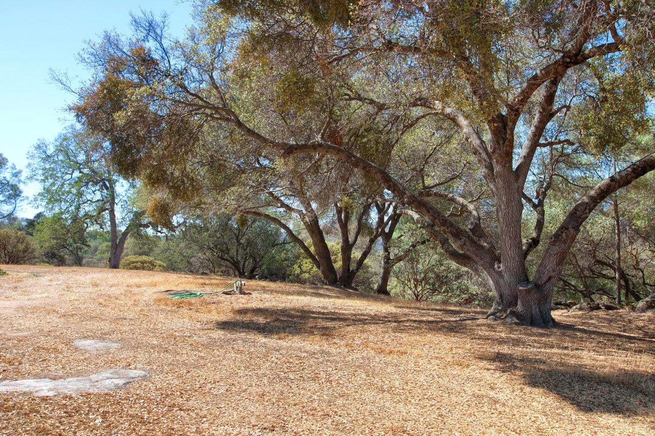 32149 Sunset Ridge Road West Coarsegold, CA 93614 - Photo 50 of 59 Gallery Image 50