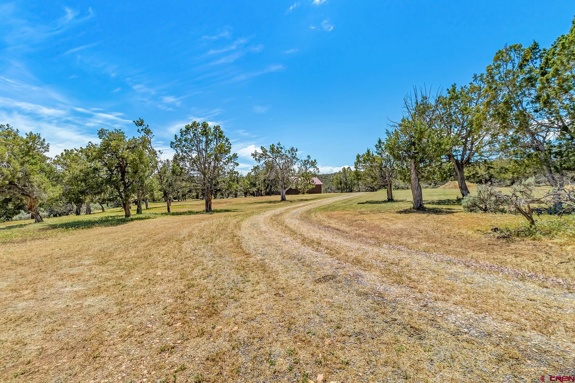 26986 Cactus Park Road Cedaredge, CO 81413 - Photo 36 of 43