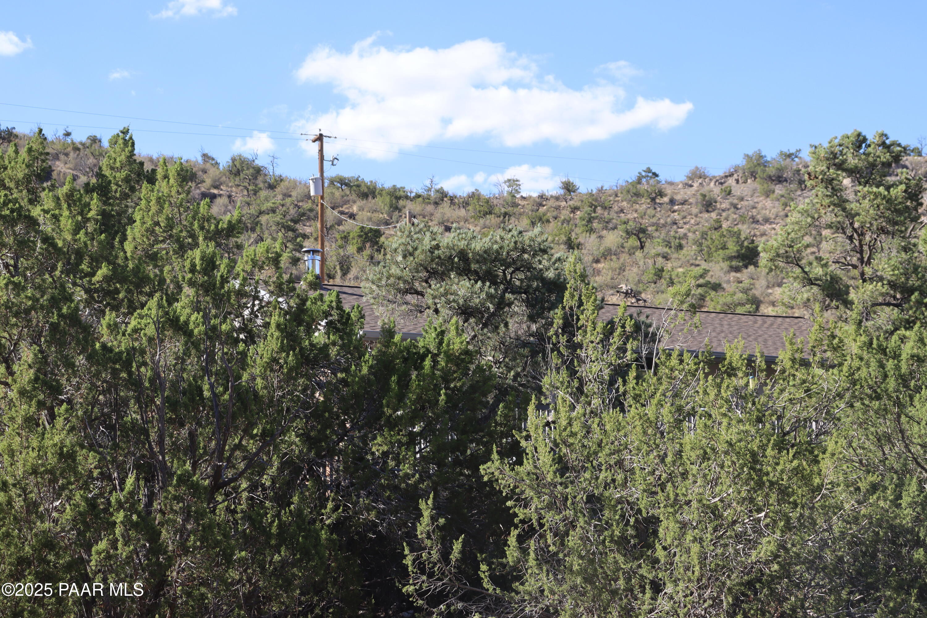 3085 North Diablo Road Chino Valley, AZ 86323 - Photo 5 of 24 a view of a bunch of trees and bushes
