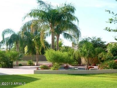 932 North Swallow Lane Gilbert, AZ 85234 - Photo 17 of 21 We are not in Kansas anymore!