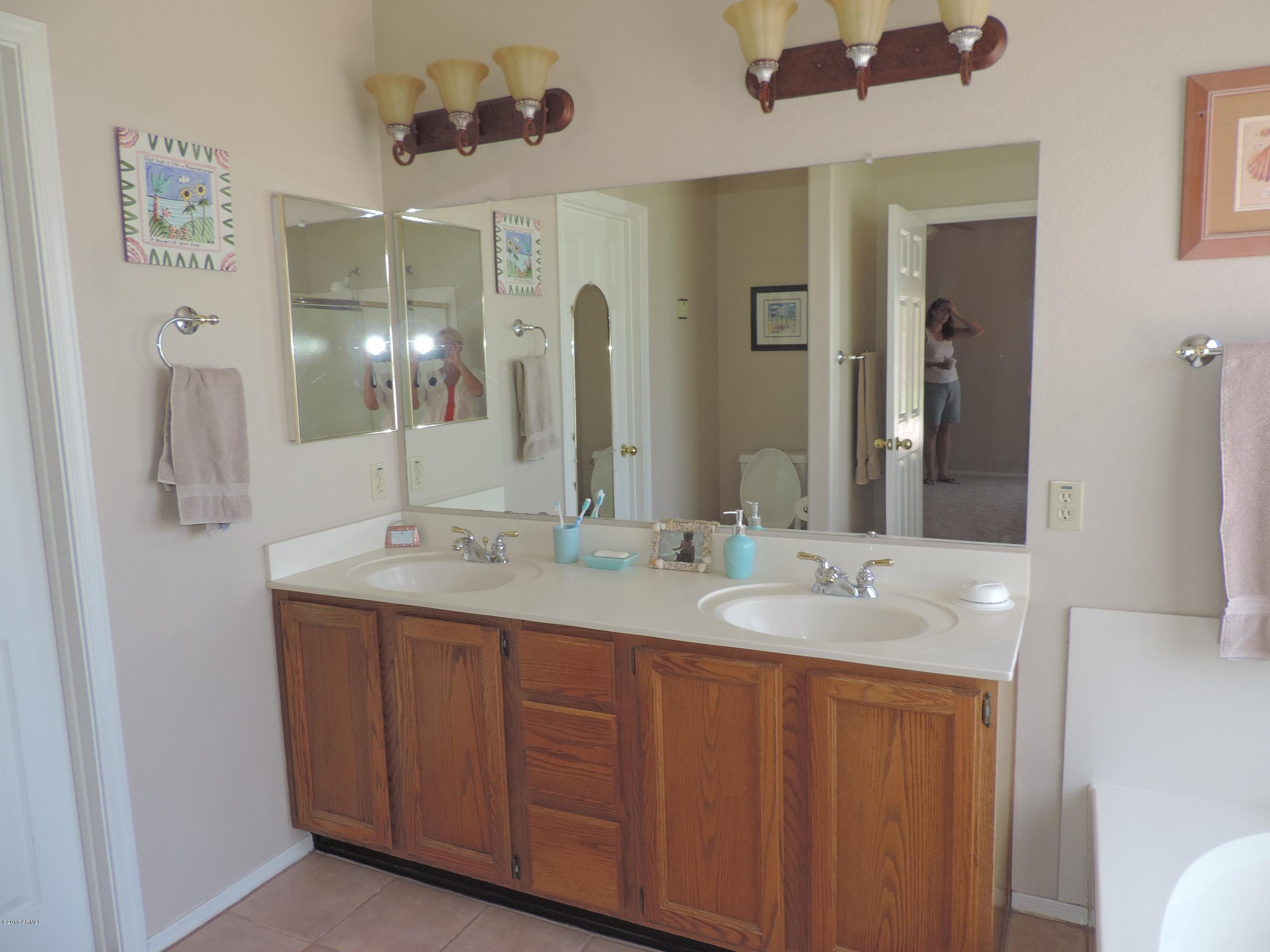 932 North Swallow Lane Gilbert, AZ 85234 - Photo 9 of 21 Master bath