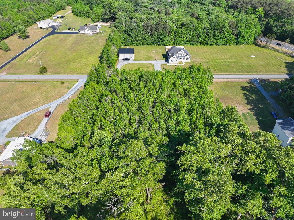 Lot 7 Bell Road Whaleyville, MD 21872 - Photo 14 of 20