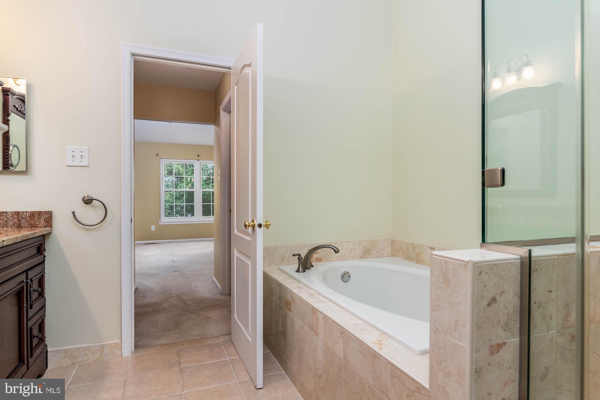 261 Valley Forge Lookout Place Wayne, PA 19087 - Photo 27 of 37 Soaking tub and standing shower